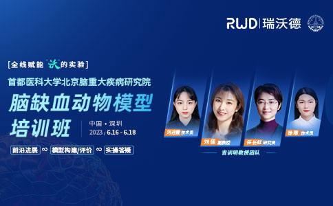 吉训明教授团队 | 脑缺血动物模型线下培训班，报名开启！