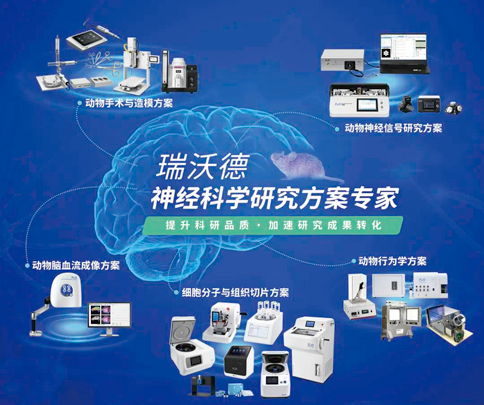 中国神经科学学会第十六届全国学术会议暨第二届中日韩国际会议（以下简称“CNS大会”）将于2023年7月27日-30日在珠海国际会展中心召开。作为我国神经科学领域规模盛大、学术水平高超的学术会议，CNS大会专注于脑科学前沿技术探讨与应用，每年都吸引众多国内外神经科学专家与学者参会，研讨交流近年来神经科学的最新发展及科研成果。 瑞沃德展位（T18特装展位） 作为一家深耕生命科学领域的公司，瑞沃德在神经科学研究领域也不断创新，臻于至善，为科研工作者提供全方位的技术和服务支持，已连续多年参与CNS大会。今年，瑞沃德也将携神经科学研究明星产品及解决方案亮相本次会议。在此，我们诚挚地邀请您莅临瑞沃德T18特装展位参观交流！ 中国神经科学学会第十六届全国学术会议 暨第二届中日韩国际会议 2023 年 7 月 27 日－30 日 （27日为展商报到日） 珠海国际会展中心 T18特装展位 一站式“神经科学研究解决方案” 瑞沃德“神经科学研究解决方案”，融合动物手术与造模方案、动物神经信号研究方案、动物脑血流成像方案、细胞分子与组织切片方案、动物行为学方案，以专业、完整的场景化解决方案，满足神经科学领域不同科研工作者的专业化实验需求，提升科研品质，加速研究成果转化。 神经科学研究解决方案 神经科学领域明星产品重磅亮相 作为神经科学领域的使能者，瑞沃德坚持突破创新，不断为自研产品注入新动能。我们将在CNS大会上展示三色多通道光纤记录系统、RFLSI ZW激光散斑血流成像系统等多款主流明星产品，欢迎各位莅临瑞沃德展位（T18特装展位）了解。 明星产品 更多产品 新品发布，共邀体验 在本次大会上，瑞沃德也将带来神经科学研究的三款新品——TAIJI小动物麻醉机、全自动脑立体定位仪和嗅觉行为训练系统，现场将会有专业人员进行新品发布演讲，诚邀各位同行一起交流讨论。 全自动脑立体定位仪&TAIJI小动物麻醉机 演讲时间：7月29日09:30 瑞沃德全自动脑立体定位仪，是一款自动化、智能化的脑立体定位仪。电机精准控制步进，可自动化运行，减少人为操作带来的误差，解放双手，节省人工成本；内置大小鼠脑图谱和常用实验任务模块，更加方便和直观地进行脑立体定位。 作为一体化设计的麻醉机，瑞沃德TAIJI麻醉机给用户带来了“开箱即通”的便捷体验，在保留核心的麻醉功能的同时，支持诱导与维持双通道独立控制，极大提高了实验效率。低应激诱导盒采用红色外观，可显著降低啮齿类动物的应激反应，更符合动物福利，在结构上采用半开放式，实现在诱导麻醉时进行主动回收，是科研实验室通用的一款高性价比麻醉机。 嗅觉行为训练系统 演讲时间：7月29日14:45 RWD嗅觉行为训练系统支持多只动物同时进行多种气味训练，可拓展与光遗传、电生理等第三方设备联用。系配有专门软件操控系统运行，精确控制气味释放，精准记录行为参数，内置DNMS，DPA，Go/No-Go实验范式，并支持自主编辑，对于开展神经系统疾病、认知学习记忆以及嗅觉环路相关机制等研究有很大帮助。 专家团坐阵，精彩好礼享不停 除了瑞沃德神经科学研究产品的体验，现场也提供技术咨询服务。瑞沃德解决方案专家团将在现场全天候为您解答对应研究领域的产品应用难题，并提供定制化的解决方案。 同时，展位设置了瑞沃德产品以旧换新的专属福利，更有耗材产品限时促销、幸运抽奖等活动，定制音响、商务背包、电风扇等礼品等你来?。ɑ疃暄殖」ぷ魅嗽保?展台现场活动（部分） 2023CNS大会 瑞沃德T18特装展位 我们恭候您的到来