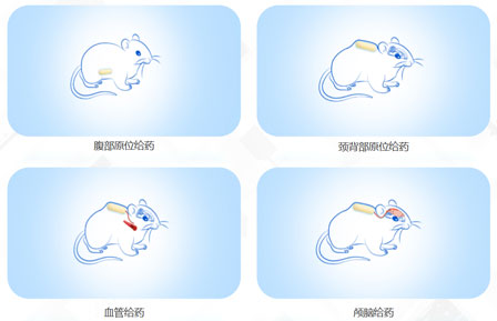 实验干货——解决你连续周期给药困难的“小小泵”，上新啦！.jpg