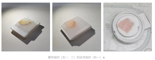 诚邀您参加！高分子材料试切进行中