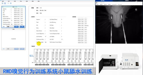 Get最高效的气味刺激关联饮水奖励实验?。ㄉ希? width=