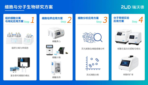 瑞沃德邀您共赴2024CBIC第九届细胞生物产业（ 深圳 ）大会，现场精彩演讲不容错过！