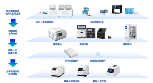 瑞沃德精彩亮相ICGT 2024！