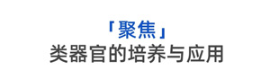 Nature子刊一作廖志赢：发现ACE2潜在的表达机制，联合多个课题组齐心攻克前沿学术难题！