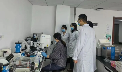 对话Blood通讯作者唐小芃教授，揭秘医学顶刊背后的科学探索